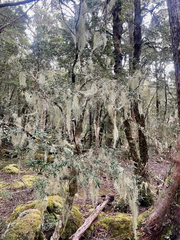 Overland Track photograph