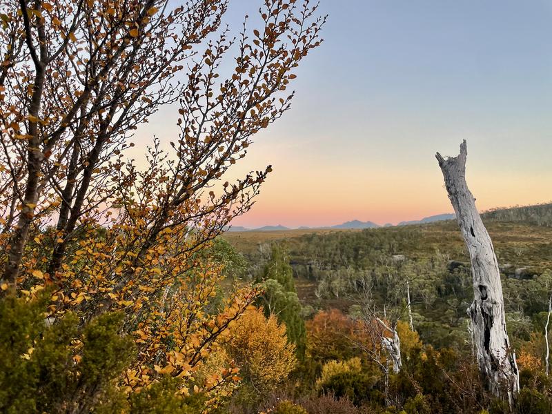 Overland Track photograph