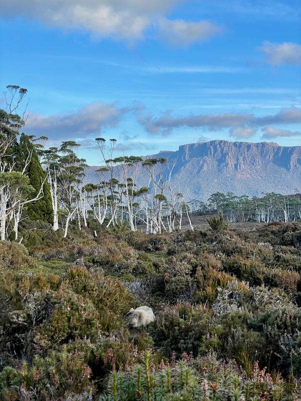 Overland Track photograph