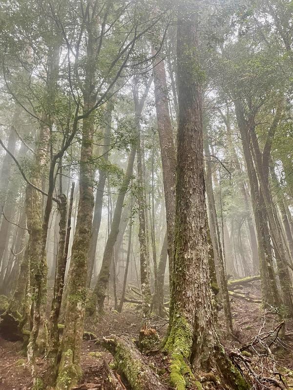 Overland Track photograph