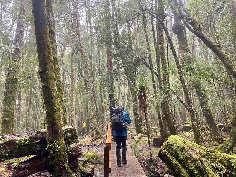 Overland Track photograph