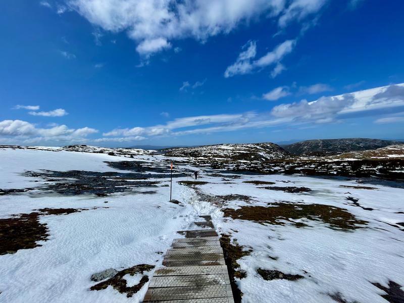 Overland Track photograph