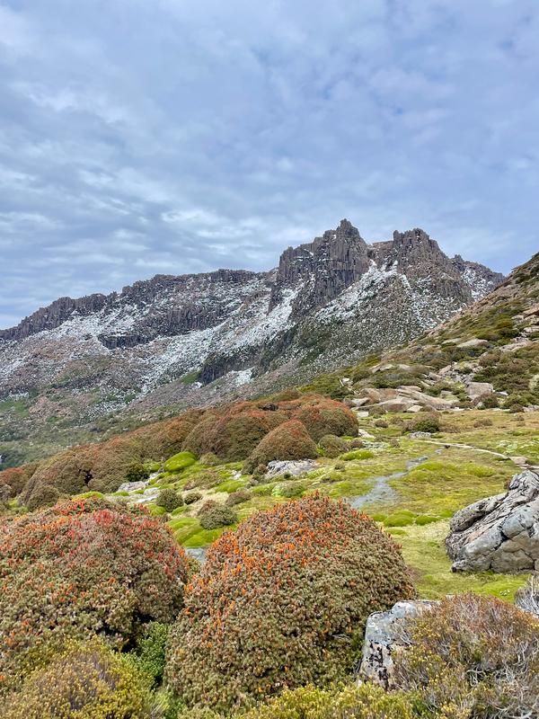 Overland Track photograph