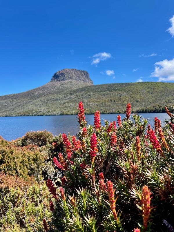 Overland Track photograph