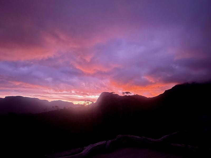 Overland Track photograph