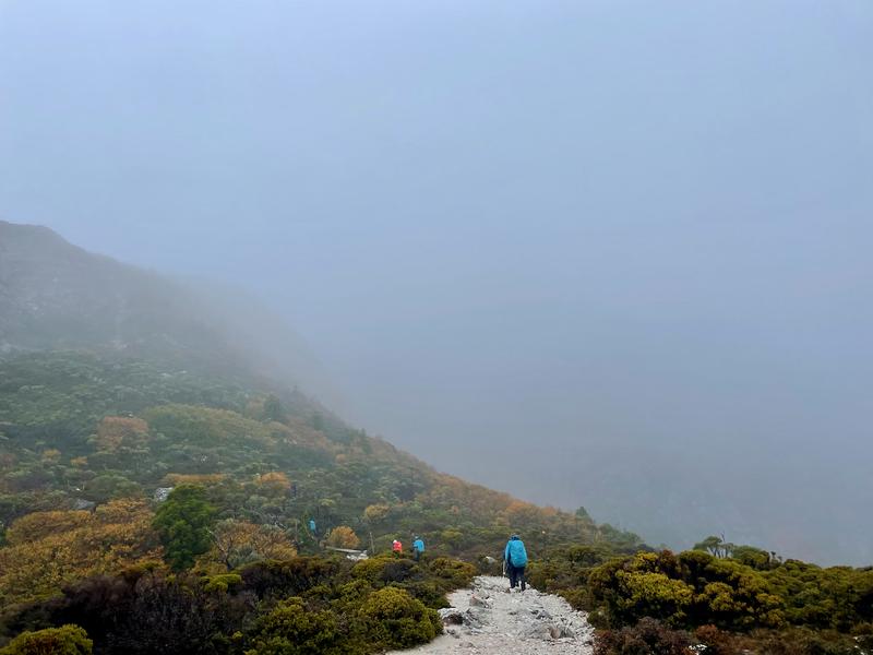 Overland Track photograph