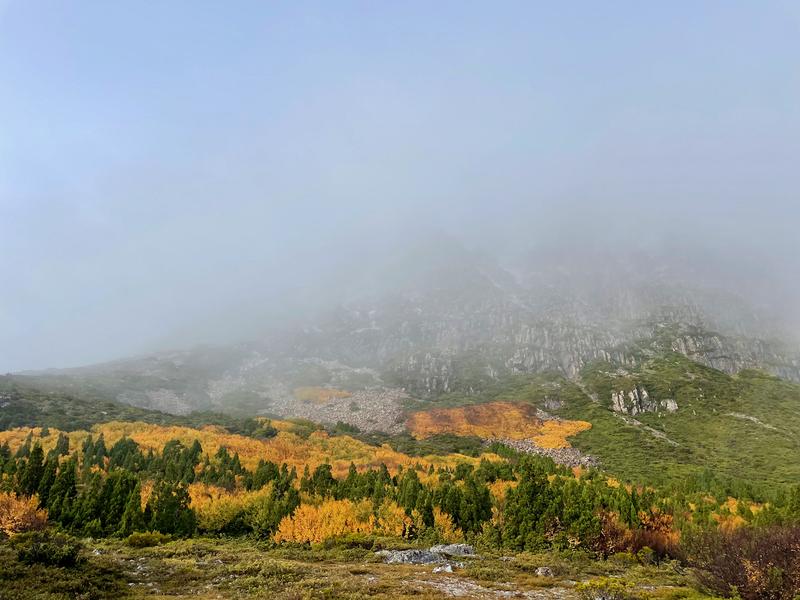 Overland Track photograph