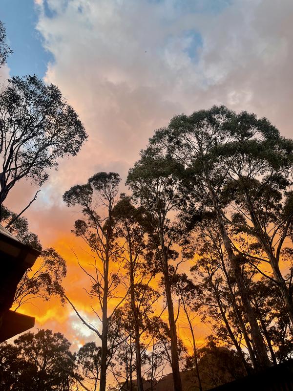 Overland Track photograph