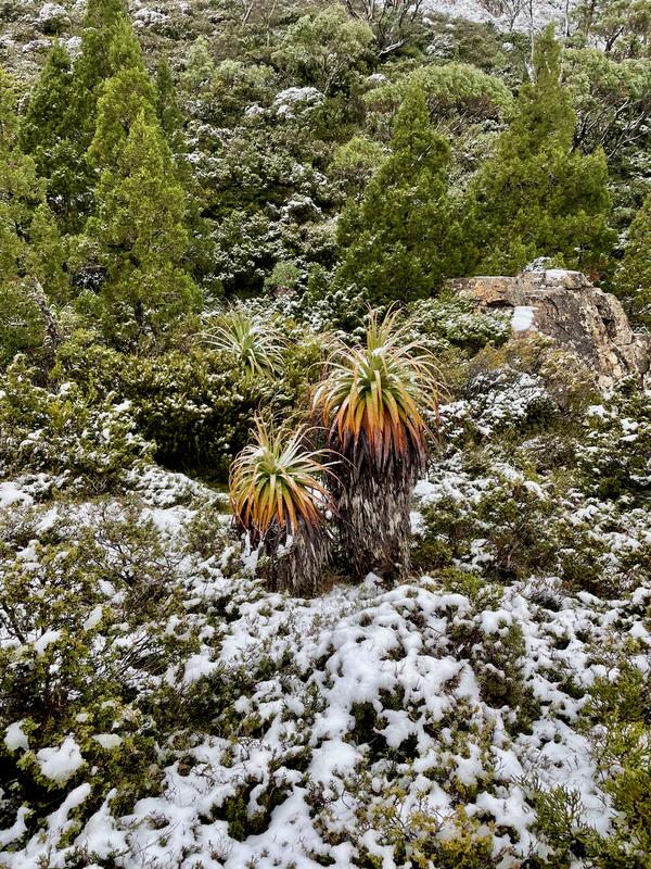 Overland Track photograph