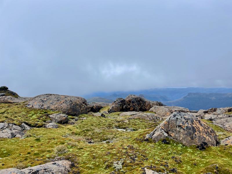 Overland Track photograph